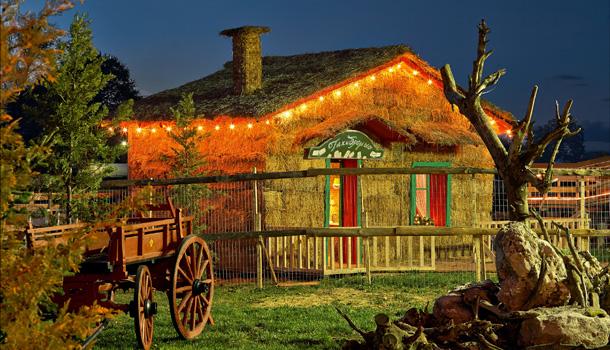 The Mill of Elves